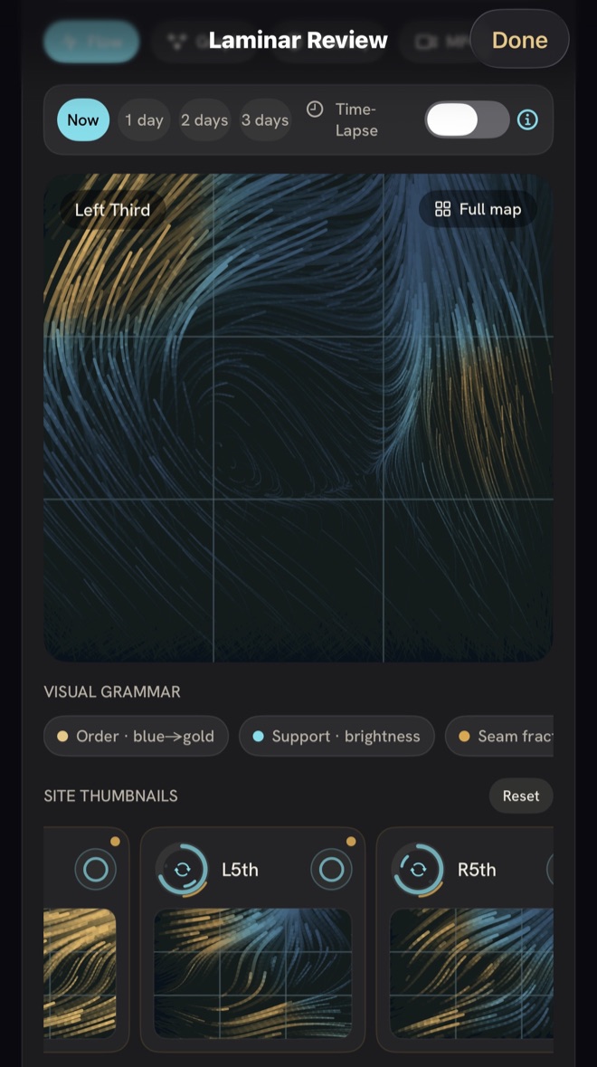 Laminar Review — blue and gold phase-coherence streamlines across a site grid, with the time selector and visual-grammar legend